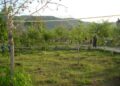 Kuralları Neden Kendimiz İçin Koymuyoruz?