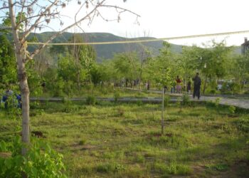 Kuralları Neden Kendimiz İçin Koymuyoruz?