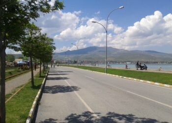 Beyin Donanımdır, Akıl Yazılımdır