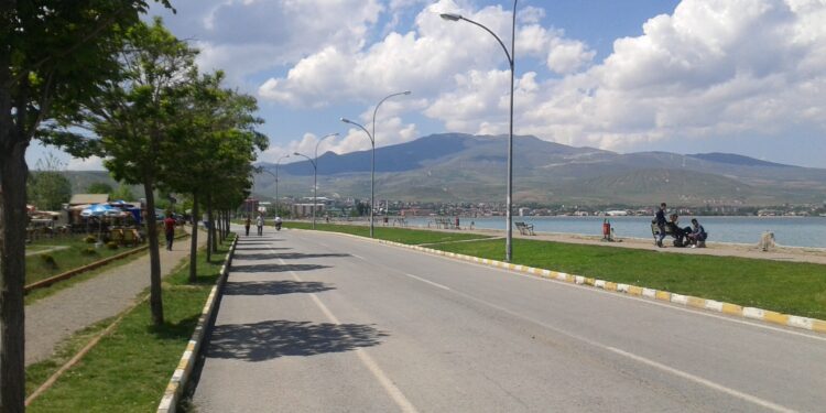 Beyin Donanımdır, Akıl Yazılımdır