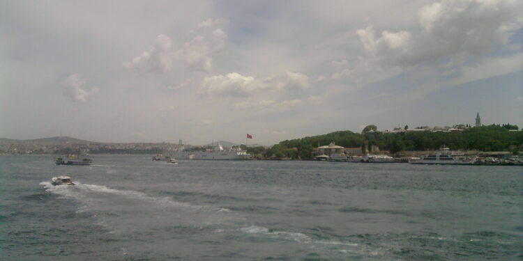 Yaşamadan Ölmezsin. . .
